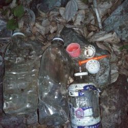 清掃活動：春なまず